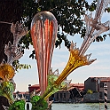 73 Fiori giganti (3)